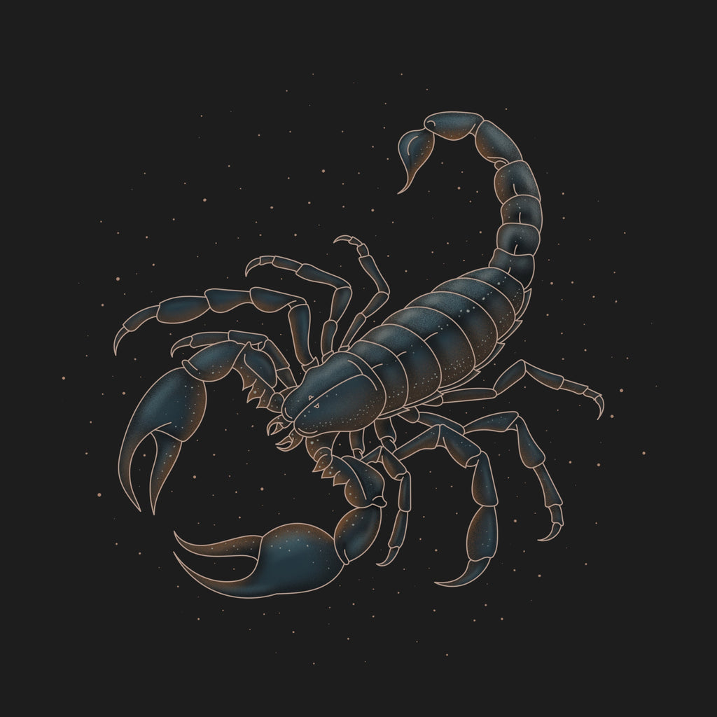 Scorpio Season