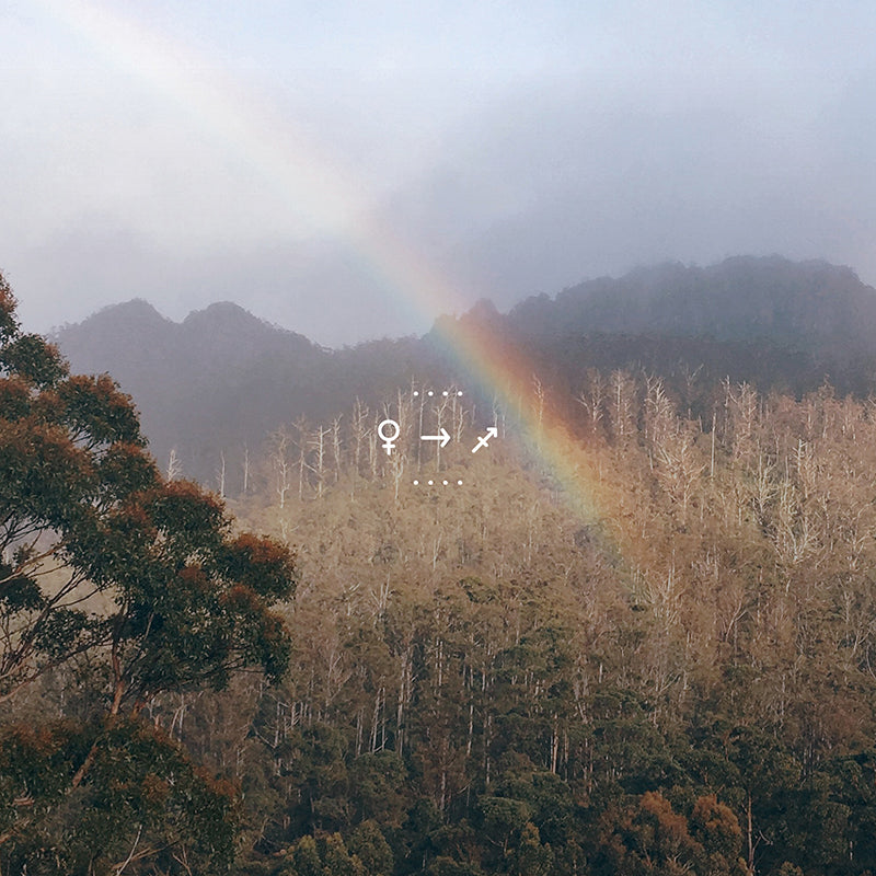 Venus Enters Sagittarius