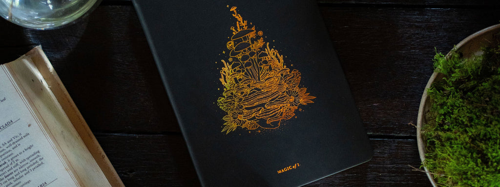 ASTRO-MYCOLOGY JOURNALS