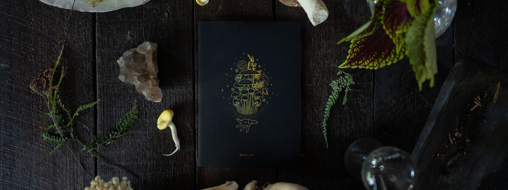 ASTRO-MYCOLOGY NOTEBOOKS