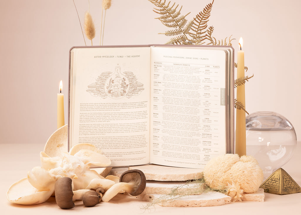 2024 Astrological Planner Mushroom Limited Edition Magic of I. US