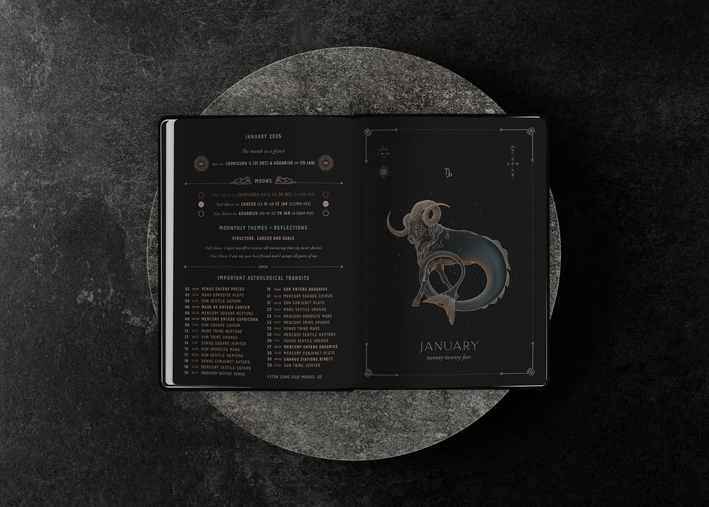 2025 Astrological Planner - Midnight Velvet - Limited Edition