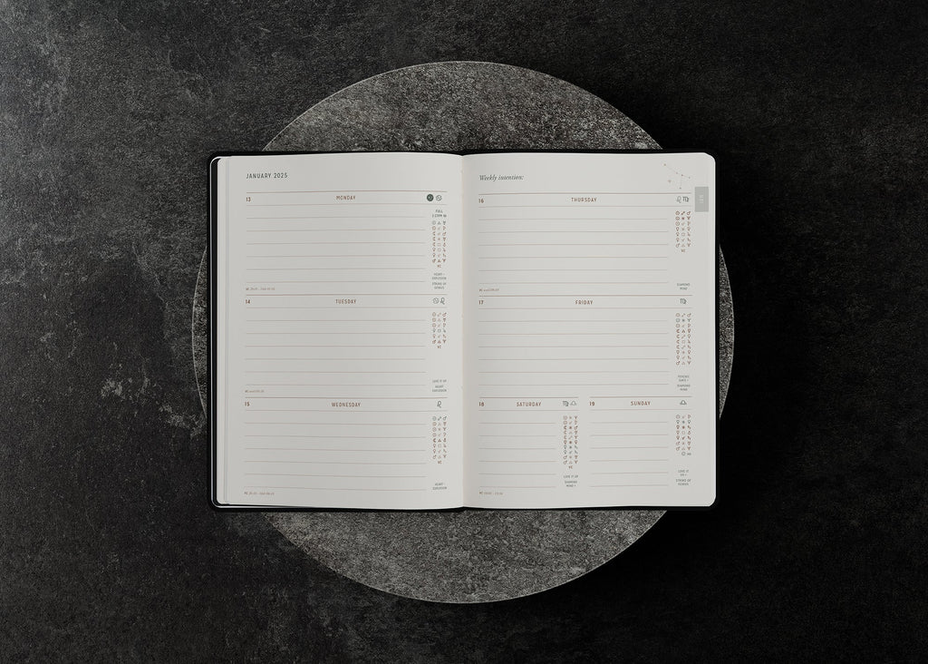 2025 Astrological Planner - Midnight Velvet - Limited Edition