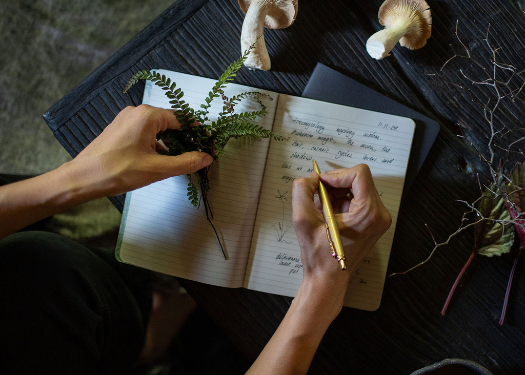 A5 ASTRO-MYCOLOGY NOTEBOOK: SHIITAKE