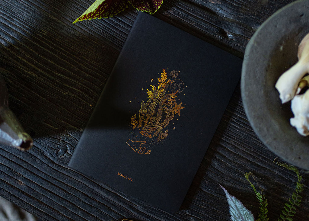 A5 ASTRO-MYCOLOGY NOTEBOOK: CORDYCEPS