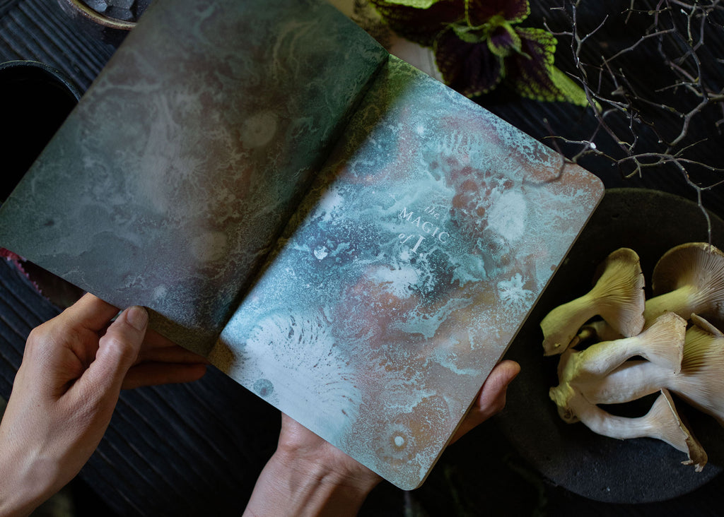 A5 ASTRO-MYCOLOGY NOTEBOOK: ENOKI