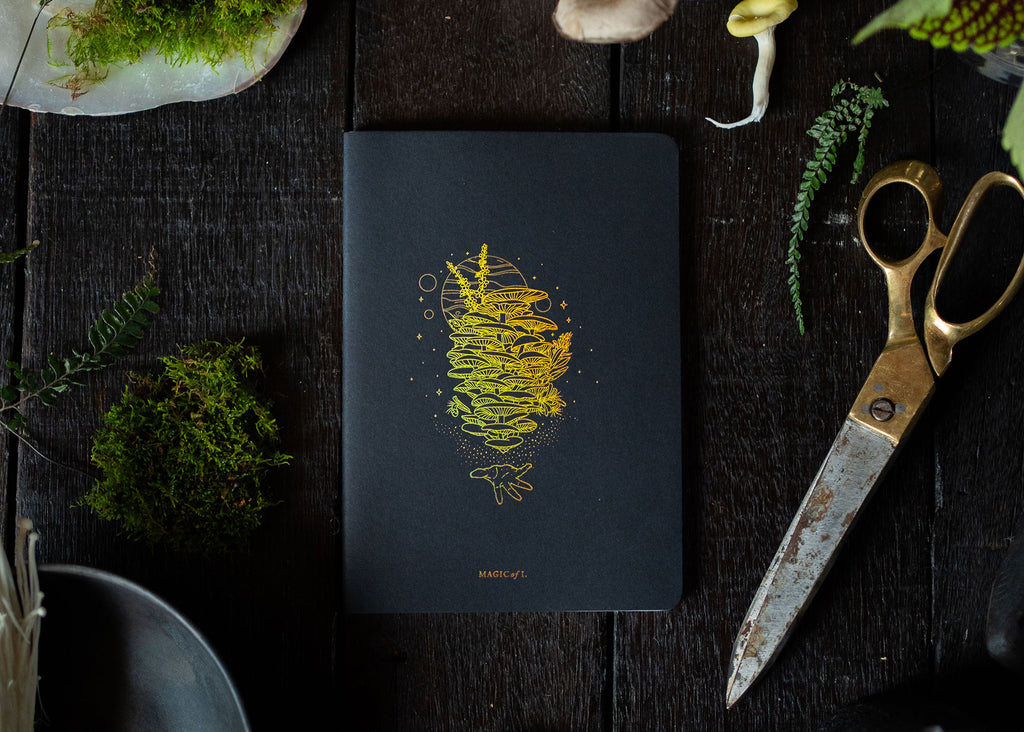A5 ASTRO-MYCOLOGY NOTEBOOK: ENOKI