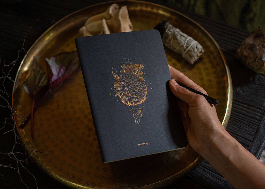 A5 ASTRO-MYCOLOGY NOTEBOOK: LIONS MANE
