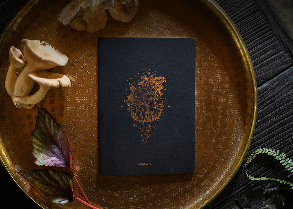 A5 ASTRO-MYCOLOGY NOTEBOOK: LIONS MANE