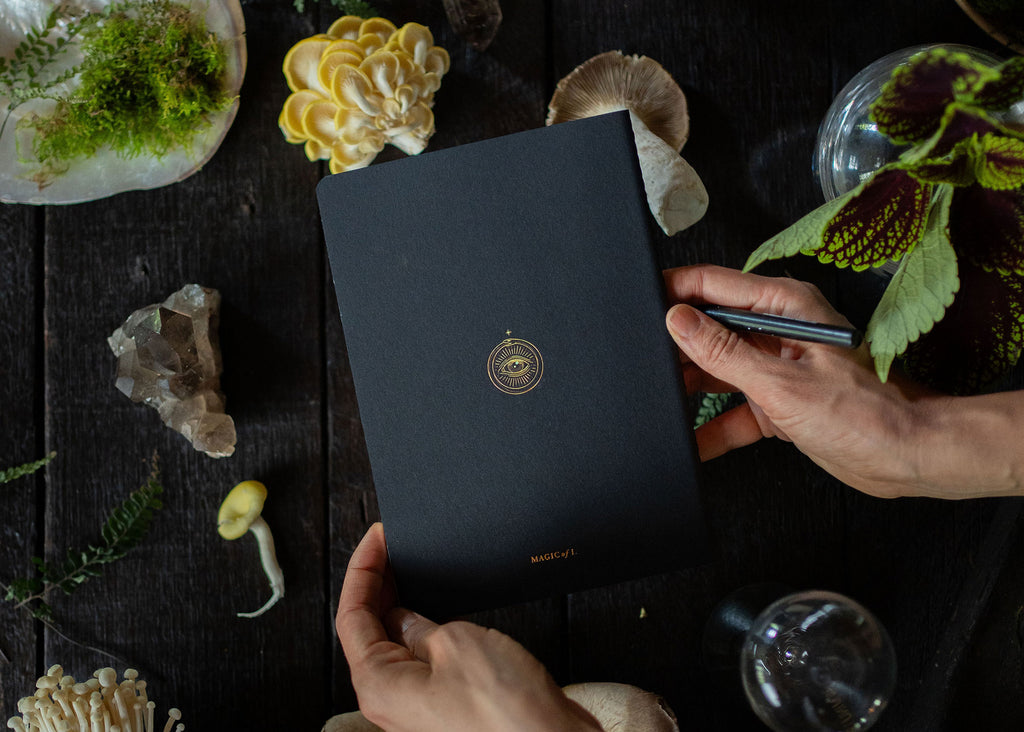 A5 ASTRO-MYCOLOGY NOTEBOOK: PSILOCYBE