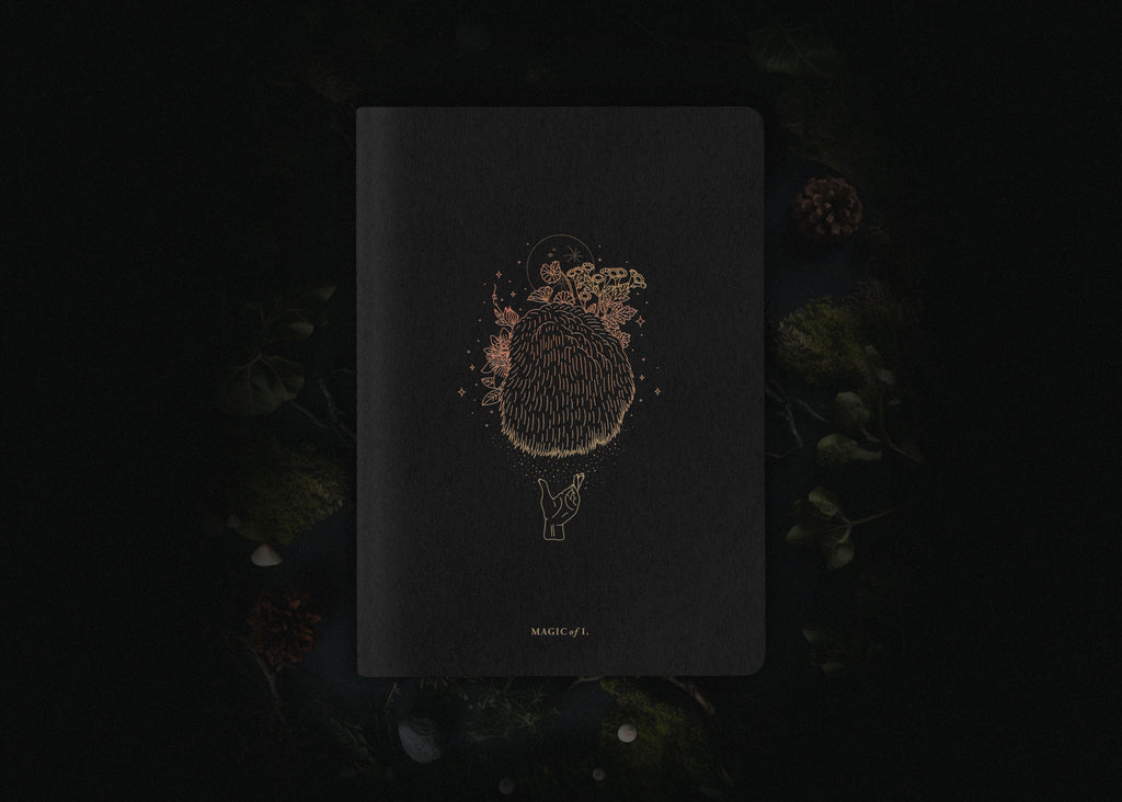 Astro-Mycology Notebook: LIONS MANE - Pre Order