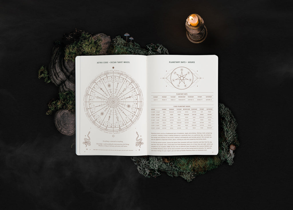 2024 Astrological Planner - Deep Moss - Limited Edition - Pre Order