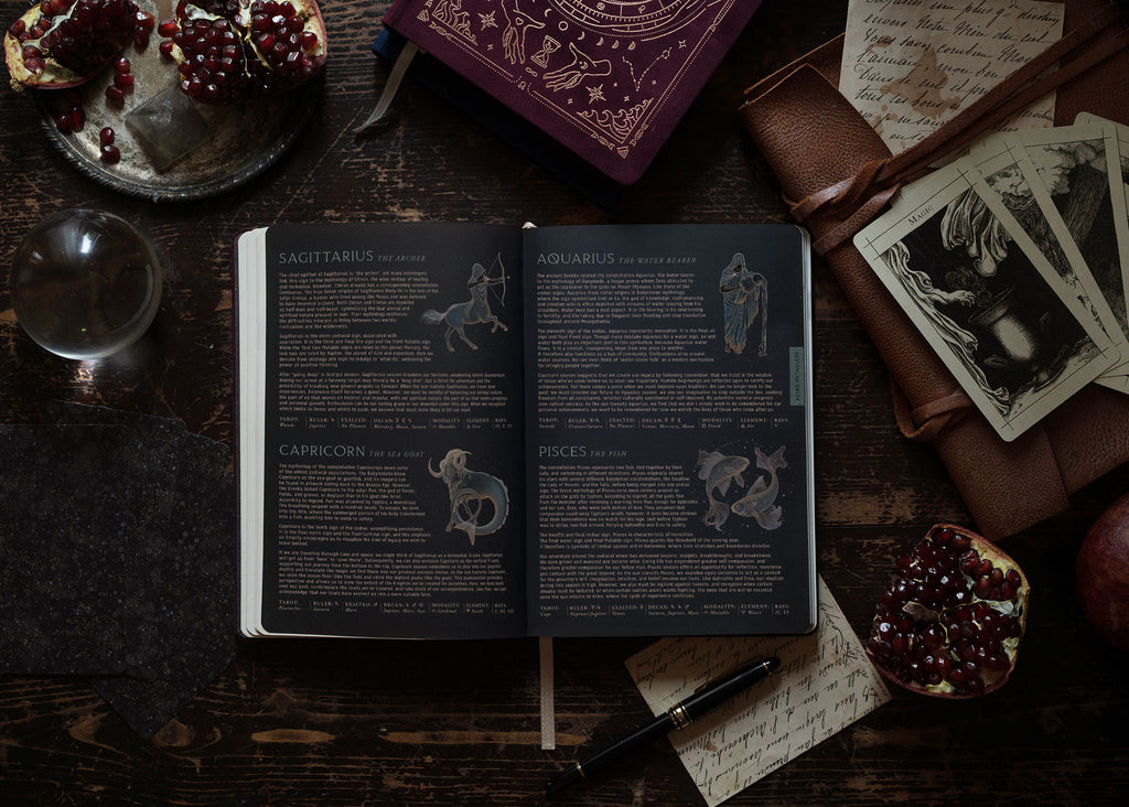 2026 Astro Planner - Pomegranate + Free Zodiac Journal