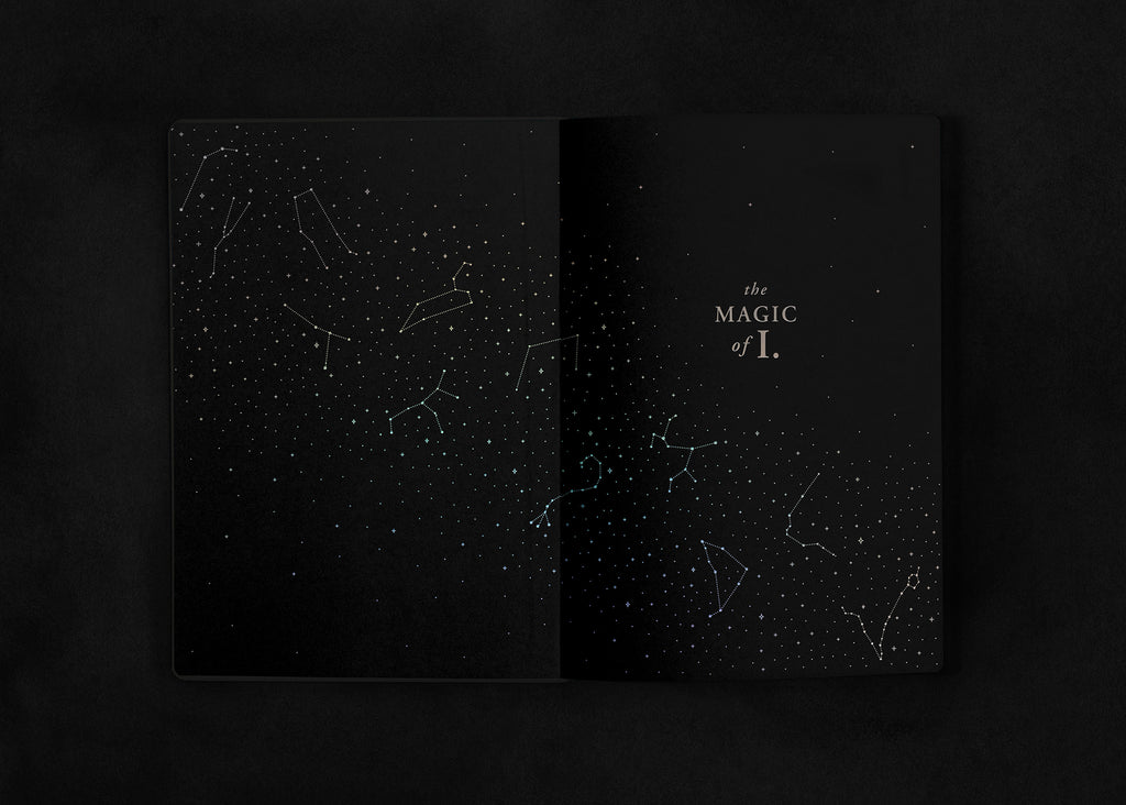 The Aries Bundle